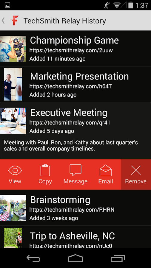 TechSmith Fuse - screenshot