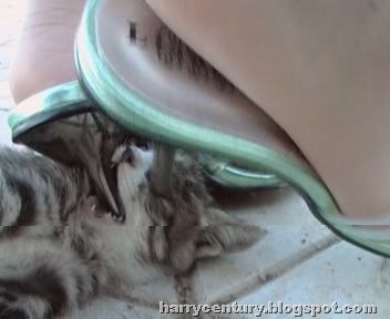 [anime abuse7[1].jpg]