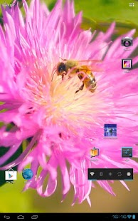 3D Bee on a Clover Flower Free Screenshots 15