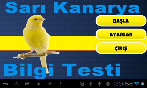 【免費益智App】Sarı Kanarya Bilgi Testi-APP點子