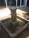 Fire Hydrant Fountain
