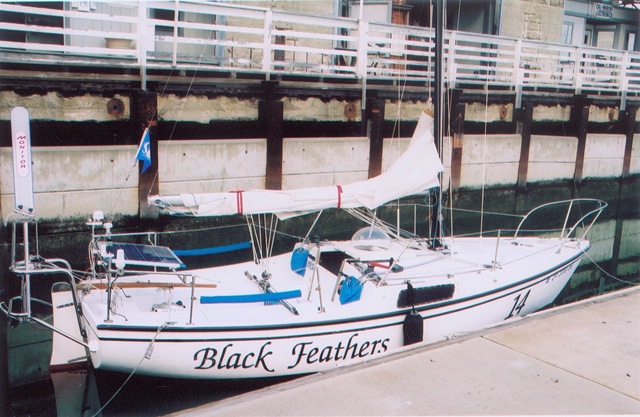 [black_feathers13.jpg]