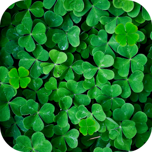 Clover Live Wallpaper.apk 1.0