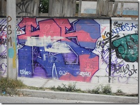 SDC10951