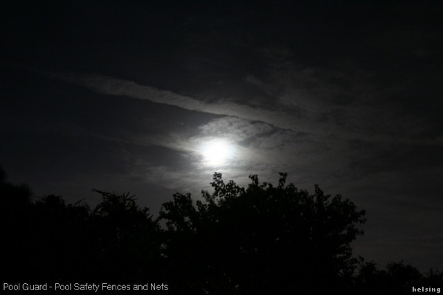 [night_moon_trees.sized26.jpg]