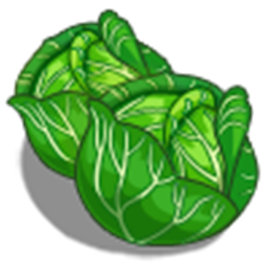 Irish Cabbage Lite  Icon