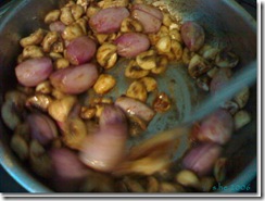 chavannes villge 2011