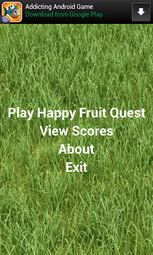 Happy Fruit Quest