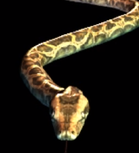 snake live wallpaper 3d snake