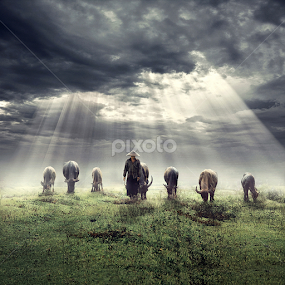 Heaven of Light by Ipoenk Graphic - Digital Art People