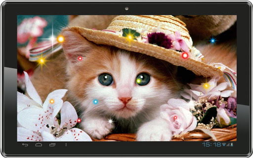 【免費個人化App】Hello Cute Kitty livewallpaper-APP點子