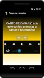 Canto de jilgueros