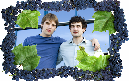 Fruit Frames poster 4