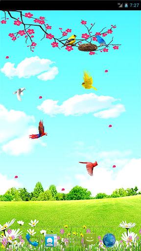 Sky Birds Live Wallpaper Free