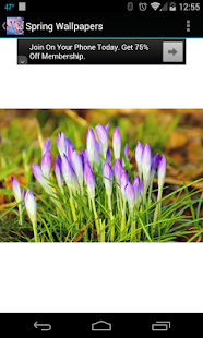 Spring Wallpapers(圖2)-速報App