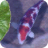 Peace Pond Live Wallpaper