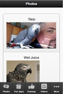 【免費書籍App】African Grey Parrot Fan App-APP點子