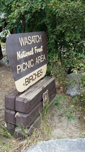 Birches Picnic Area