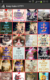 Keep Calm KITTY poster 15