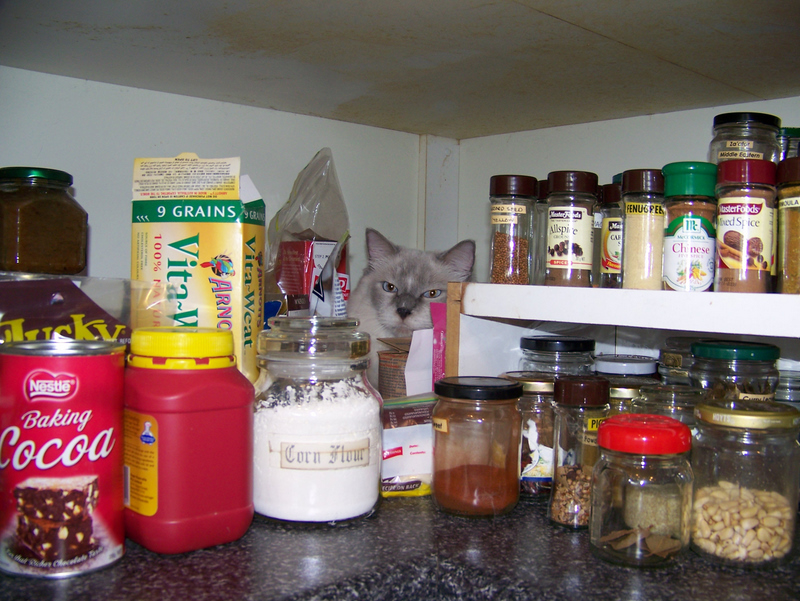 http://lh3.ggpht.com/hingehead/SK0EZbwEtLI/AAAAAAAAAKM/MnyZsrfg9Gc/s800/img%20003re%20copy.jpg