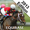 2013 Equibase Racing Yearbook