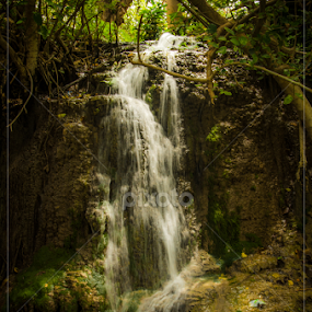 Hidden Beauty by Ani Das - Nature Up Close Water