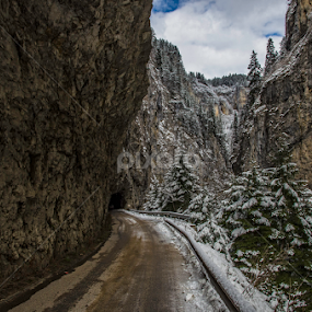 Winter Road by Mihail Marzyanov - Landscapes Travel