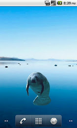 Manatee Full Sticker poster 1