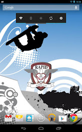 Rapid Bucuresti Widget poster 4