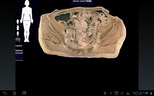 How to install 高雄醫學大學解剖學課程 1.0 mod apk for laptop