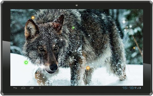 Wolf Angry Free live wallpaper Screenshots 0