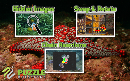 【免費解謎App】Free Under the Sea Puzzles-APP點子