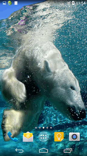 Polar Bear Live Wallpaper