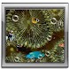 Home aquarium Live Wallpaper