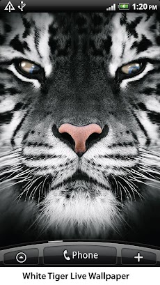 White Tiger Live Wallpaperのおすすめ画像2