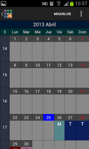 SaTurnos Pro Calendar