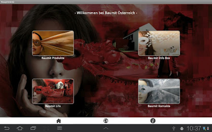 Baumit Life Tablet poster 4