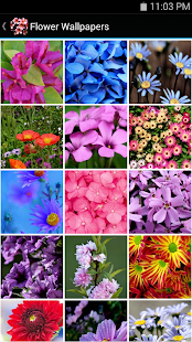 Free Flower Wallpapers APK