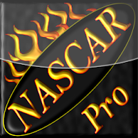 NASCAR Pro