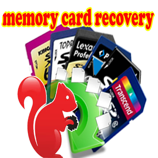 Memory Card Recovery