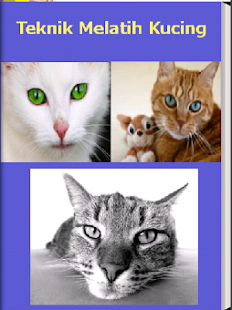 How to download Teknik Melatih Kucing lastet apk for bluestacks