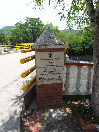 Placa Puente Río Negro - Útica