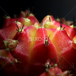 by Md Mamunur Rahman -  