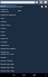 Kazakh Punjabi Dictionary poster 14