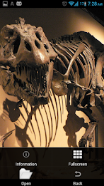 Sapiens -Archaeology & History poster 6