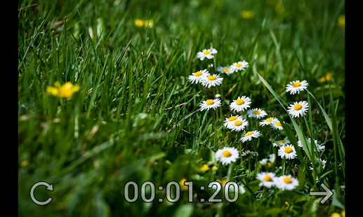 Lastest Cruzzle APK