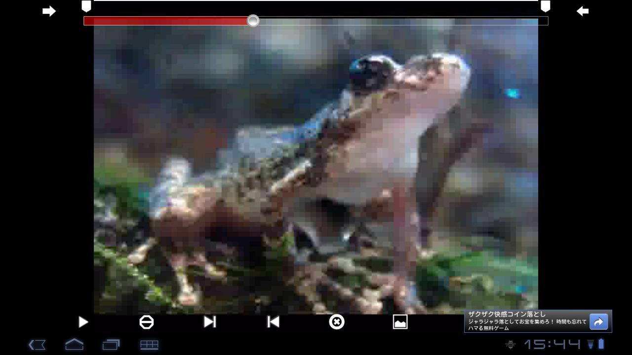 SlowPlay Donate Screen 3