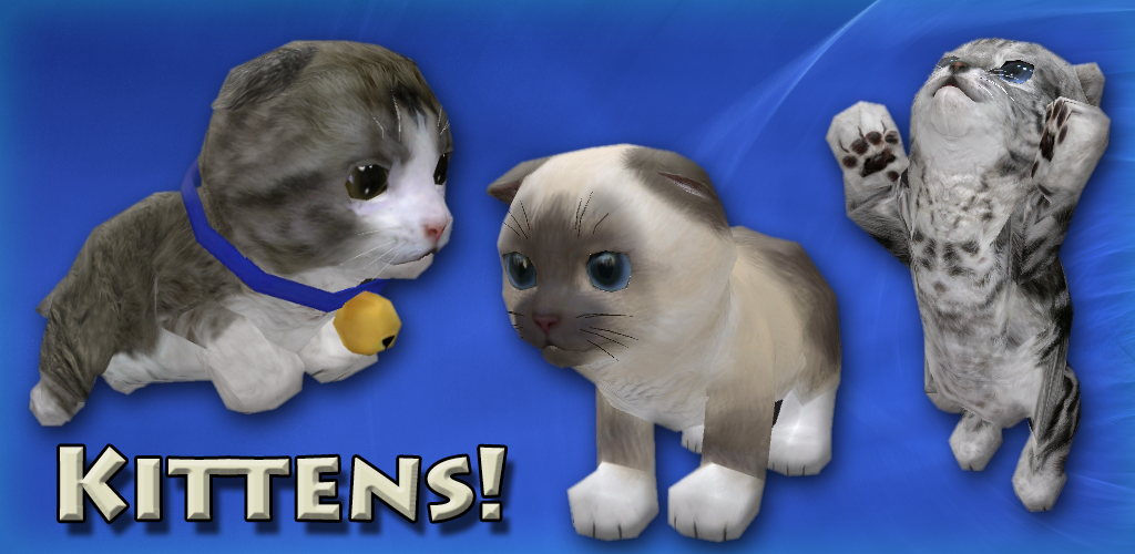 Kitten приложение. Kitten приложение. Meow meow meow cat. Kitten приложение. Кат meowing песня.