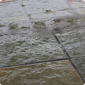 Rain Ripples Live Wallpaper HD.apk 2.0
