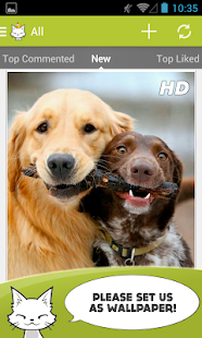 Cute Animals Photos Wallpapers Screenshots 8
